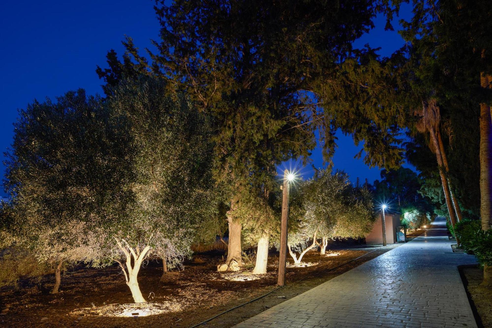 The Olympians Villas Polis Extérieur photo